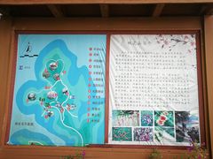 -广州市流溪河国家森林公园