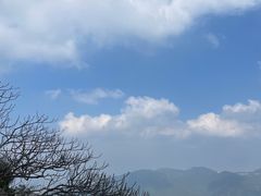 -梧桐山风景名胜区