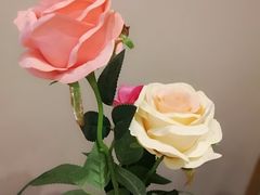 -江户前日本料理(瑞诗酒店店)