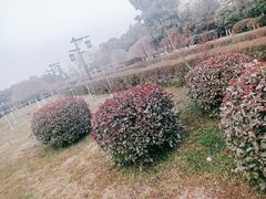 -西安汉城湖景区