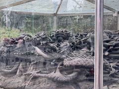 -珠海圆明新园
