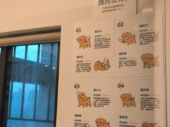 -有喵·猫咖·狗咖·30几只猫10只小狗(岗厦店)