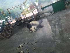 -无锡动物园·太湖欢乐园