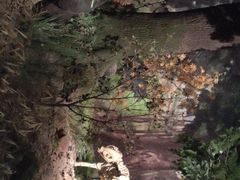 -湖南省地质博物馆