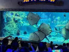 -南昌海洋公园
