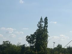-嘉北郊野公园