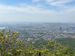 -紫金山山顶公园