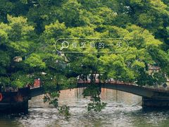 -荔湾湖公园