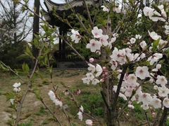 -韩湘水博园