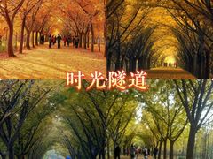 -艾山风景名胜区