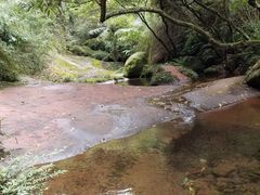 -赤水丹霞旅游区·佛光岩