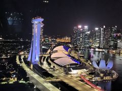 -新加坡摩天观景轮