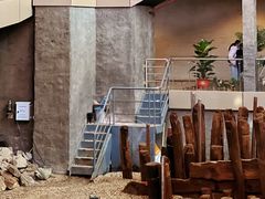 -元代水闸遗址博物馆