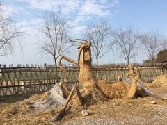 -长兴太湖图影湿地文化园