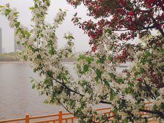 -长白岛森林公园