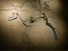 -洛阳周王城天子驾六博物馆