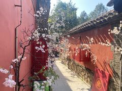 -潭柘寺景区