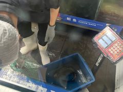 -鱼酷活鱼烤鱼(昆明路店)
