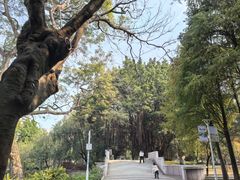 -金砂公园