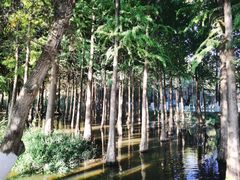 -捞渔河湿地公园