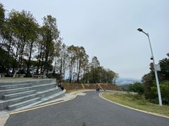 -黄埔油麻山森林公园