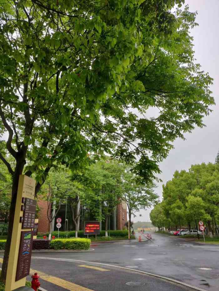 阳光康复中心-"鹏瑶要去这边进修.医院好大.环境不错适合.