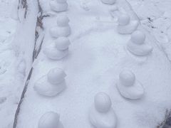 -庐山风景名胜区