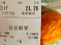 账单-乐乐鲜果水果超市(河北店)