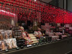 -乐蓬马歇百货公司(Rive Gauche)