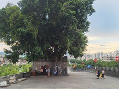 -肇庆古城墙