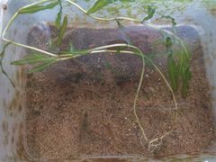 -碓臼峪自然风景区