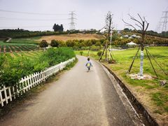 -紫颐香薰山谷景区