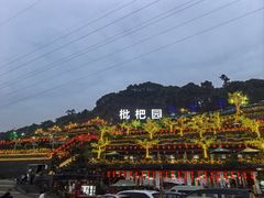 -枇杷园食为鲜火锅(南山店)