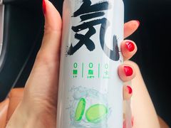 青瓜苏打汽水-童婆婆酥肉(双楠店)
