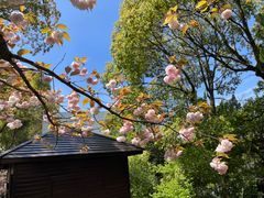 -白马涧龙池景区