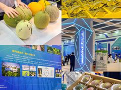 -三亚湾红树林国际会展中心(演出售票)