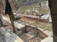 -黄龙溪欢乐田园