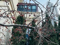 -大连海昌东方水城