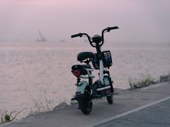 -宝安西湾红树林湿地公园