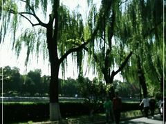 -东华门大街小区