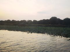 -七的湖·晚芳亭·阳澄湖农家菜·大闸蟹(莲花岛店)