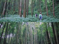 -虹口漂流