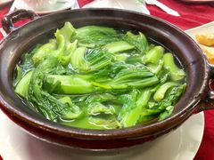 水东芥菜-电白食府(园岭三街店)
