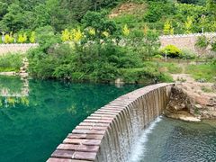 -王莽岭风景区