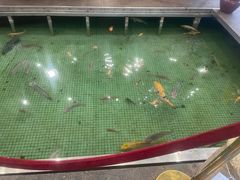 -金河半岛园林酒家(金融城店)