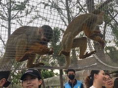 -南京金牛湖风景区