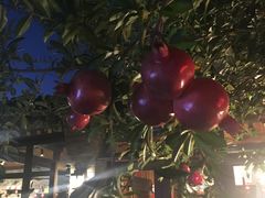 -四喜小胖·北京涮肉(五道营店)