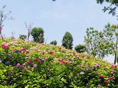 -成都中医药大学(温江校区)