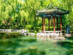 -百脉泉景区