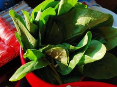 -青岛小羔羊火锅(李村公园店)